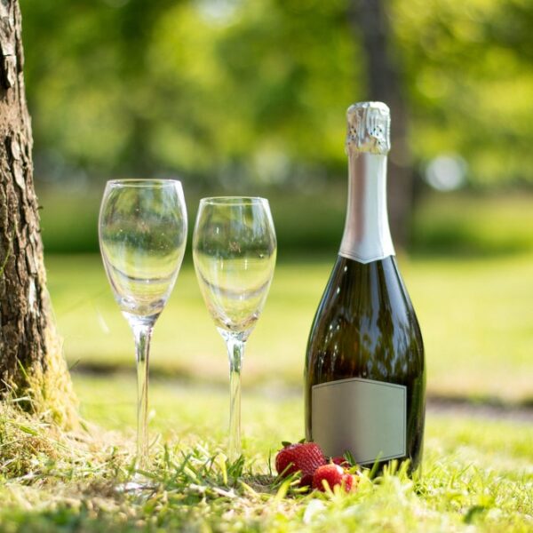 Packaging changes under net zero plan push wine prices higher