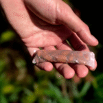 TerraSafe Launches Plastic-Free Products Following Merger with DisSolves