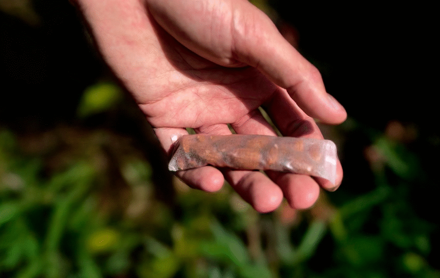 TerraSafe Launches Plastic-Free Products Following Merger with DisSolves