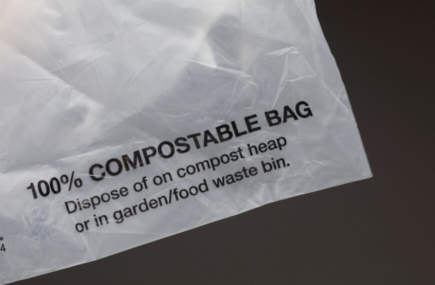 Bambrew secures $10.3m in funding to boost eco-friendly packaging