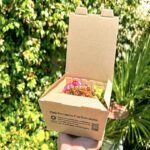 Bunzl to distribute Huhtamaki’s Taste boxes with plant-based coating