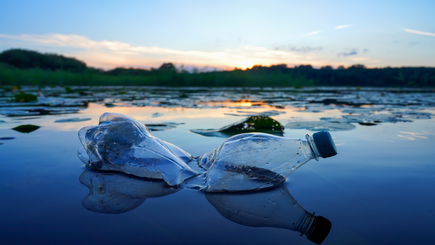PulPac secures EIB funding to enhance fibre-based packaging innovation
