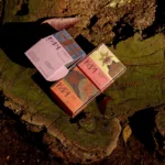 KA’A Brings Elegantly Playful Type and Illustrative Storytelling