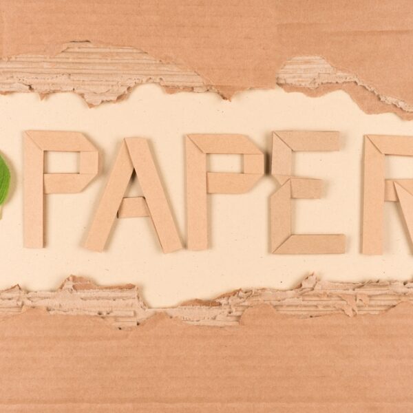 US paper packaging industry to scrap marketing initiative