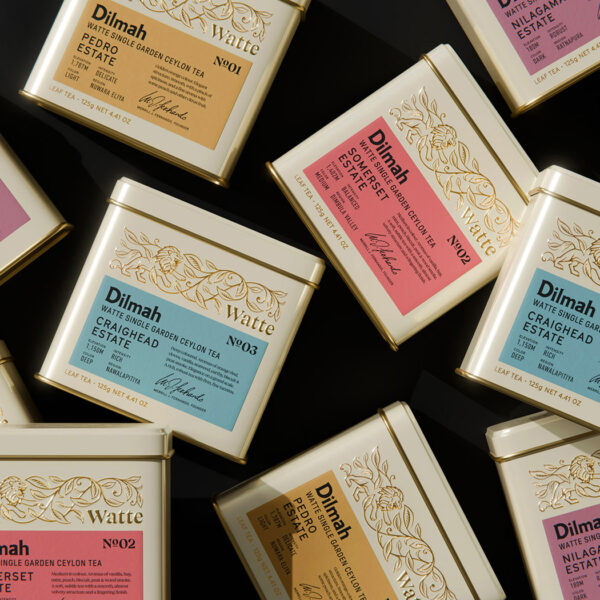 Pavement Redesigns Dilmah Watte with Editorial Precision