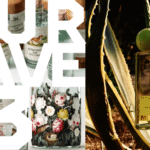 Let These DIELINE Award Winners In Clear Spirits Guide You To Designing An Award-Winning Bottle