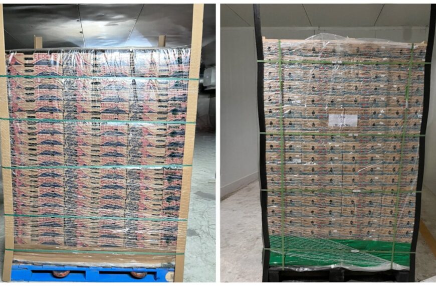 StePacPPC’s sustainable packaging solution works at full-pallet level