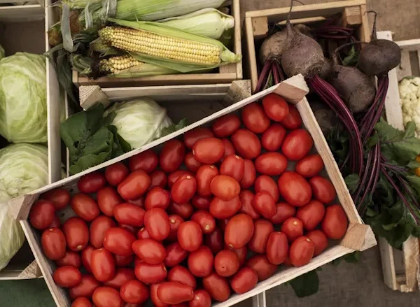 USDA Announces Research Funding for Sustainable Produce Packaging Solutions