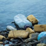 City to Sea announces closure after decade of antiplastic campaigns