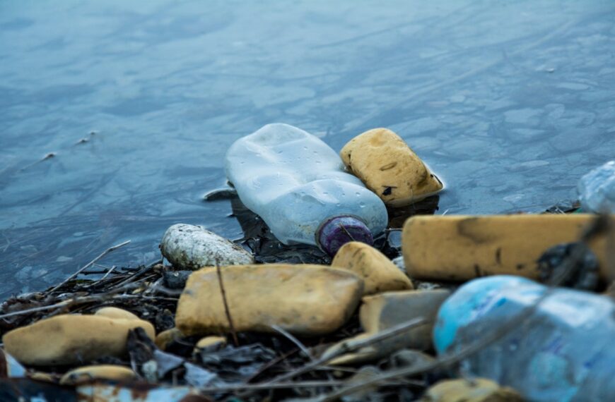 City to Sea announces closure after decade of antiplastic campaigns