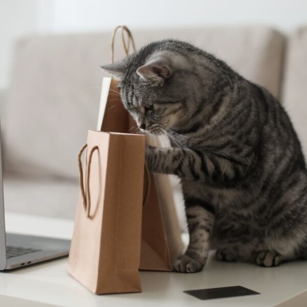 Dow, Zermatt and Nature’s Variety unveil recyclable pet food packaging