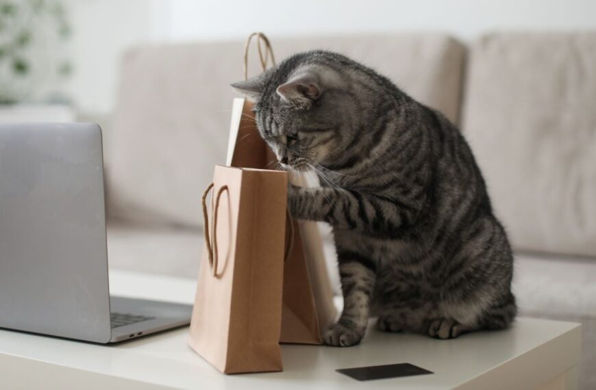 Dow, Zermatt and Nature’s Variety unveil recyclable pet food packaging