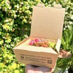 National Physical Laboratory validates Morro plastic-free coating