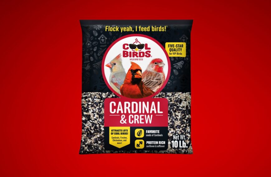 The Future’s So Bright, the Cool Birds Need to Wear Shades