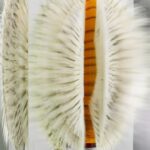 Diageo Turns Rare Whisky Into a Sculptural Masterpiece