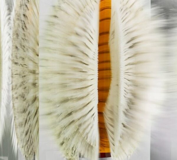 Diageo Turns Rare Whisky Into a Sculptural Masterpiece