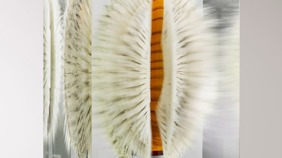 Diageo Turns Rare Whisky Into a Sculptural Masterpiece