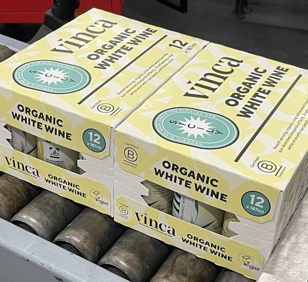 MM Packaging Provides Multi-Pack Solution for Kingsland Drinks’ Canned Beverages