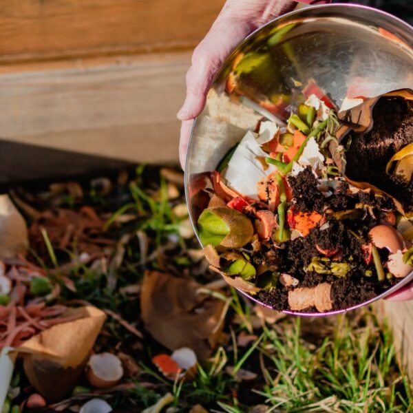 Freshr partners Mitsubishi Chemical to tackle food waste 