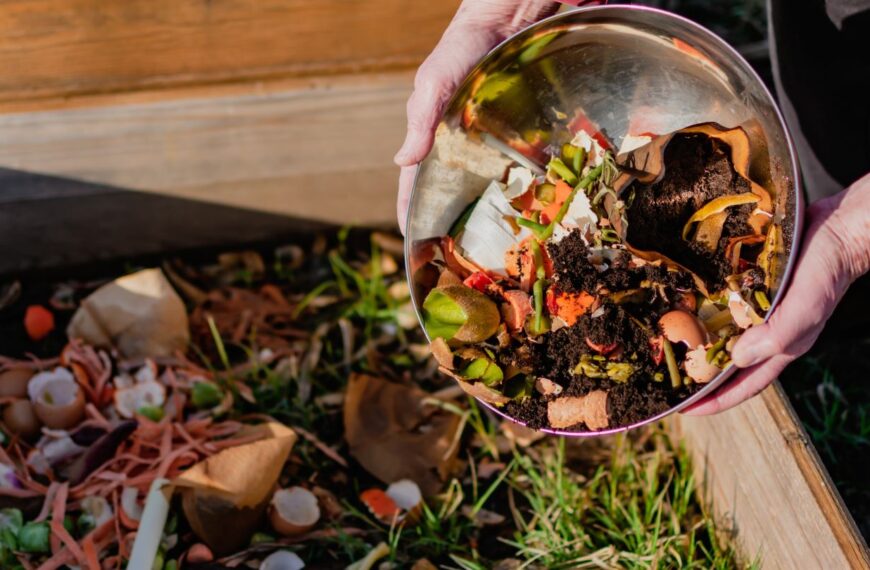 Freshr partners Mitsubishi Chemical to tackle food waste 