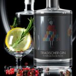 Triadic Gin Embraces Movement