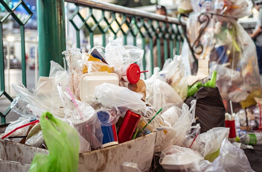 Philadelphia sues two CPGs for recyclable mislabelling