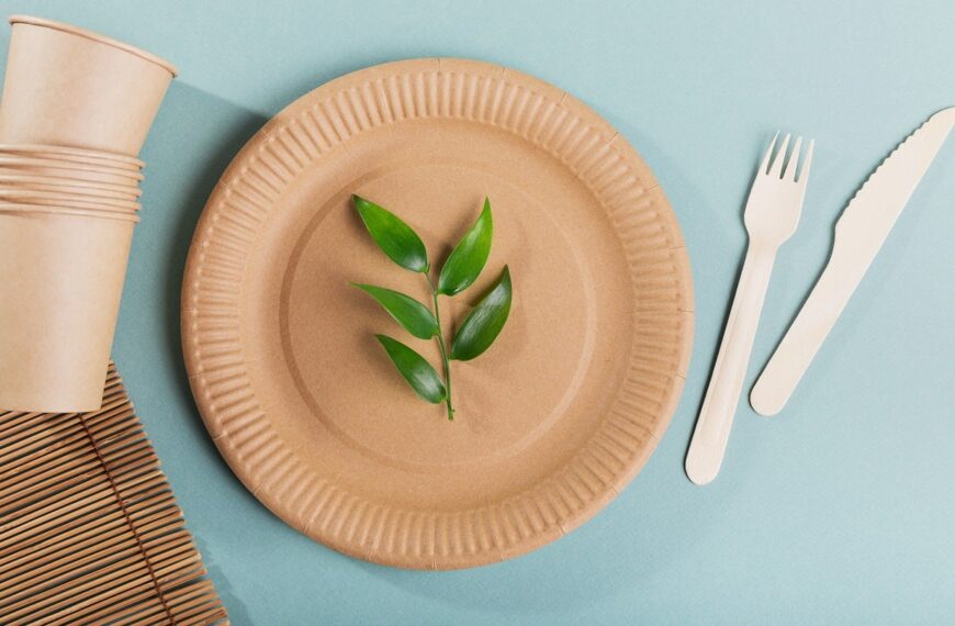 Fiberdom and Kiefel enhance fibre-based packaging with dry forming tech