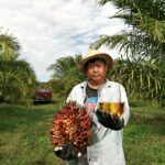 Biofuels ‘a viable medium-term solution’ for supply chain decarbonisation