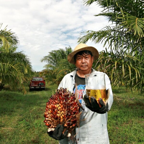 Biofuels ‘a viable medium-term solution’ for supply chain decarbonisation