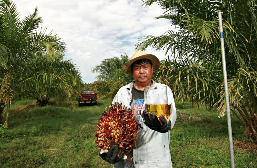 Biofuels ‘a viable medium-term solution’ for supply chain decarbonisation