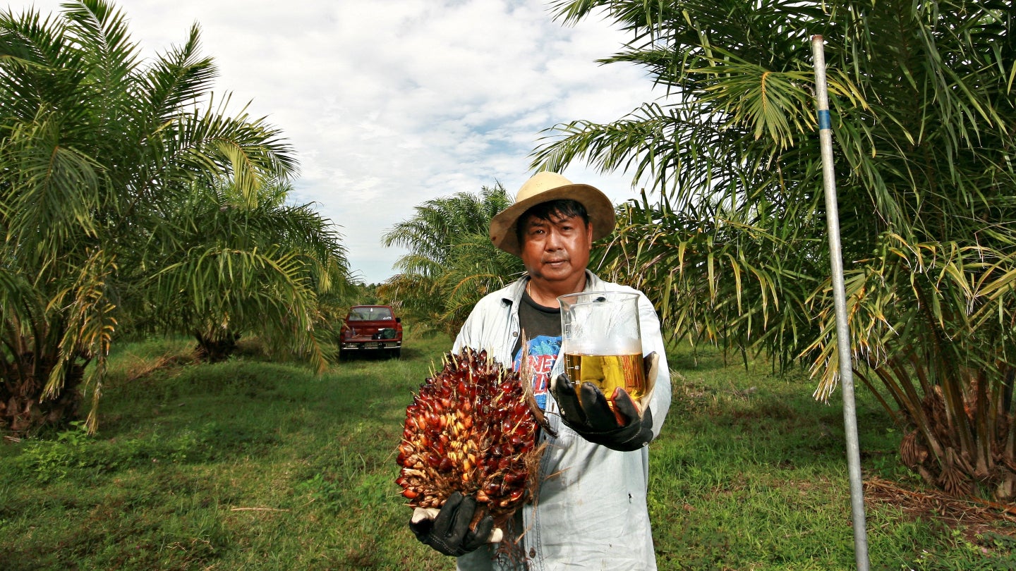 Biofuels ‘a viable medium-term solution’ for supply chain decarbonisation