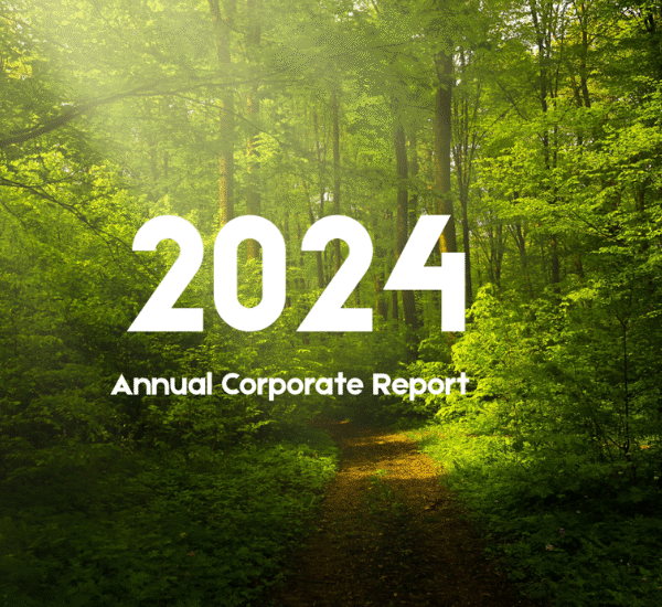 Accredo Packaging Releases 2024 Sustainability Impact Report