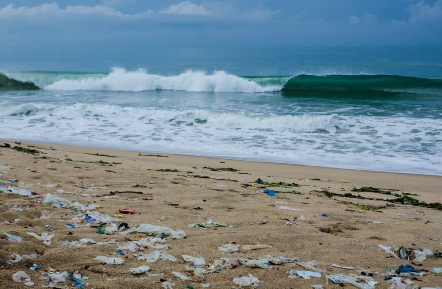 CIMAG urges Ghana to enforce plastic policies to tackle pollution crisis