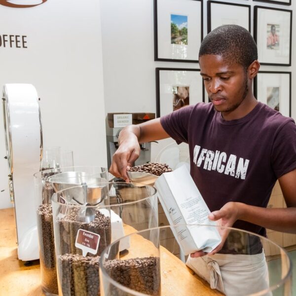 Paper packaging on the rise as South Africans go greener