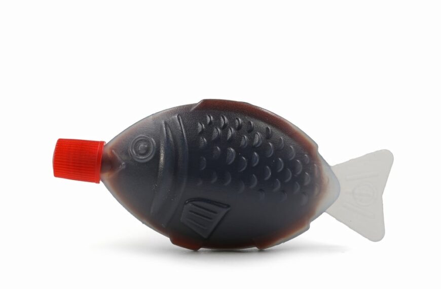Australian state bans fish-shaped soy sauce bottles in plastic crackdown