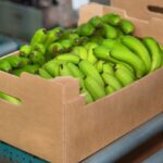 Mondi unveils lightweight banana box made with 40% recycled fibre 