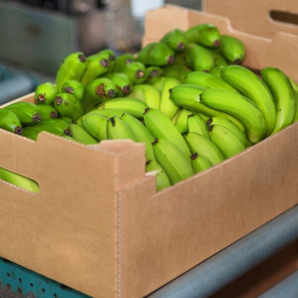 Mondi unveils lightweight banana box made with 40% recycled fibre 