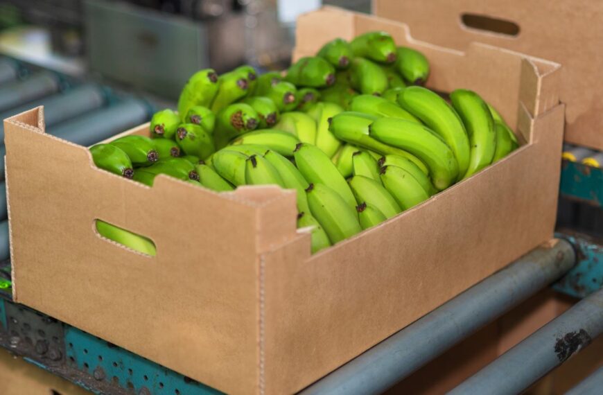 Mondi unveils lightweight banana box made with 40% recycled fibre 