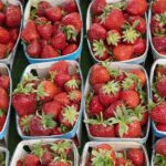 North American Consortium Offers Guide to Sustainable Fresh Produce Packaging