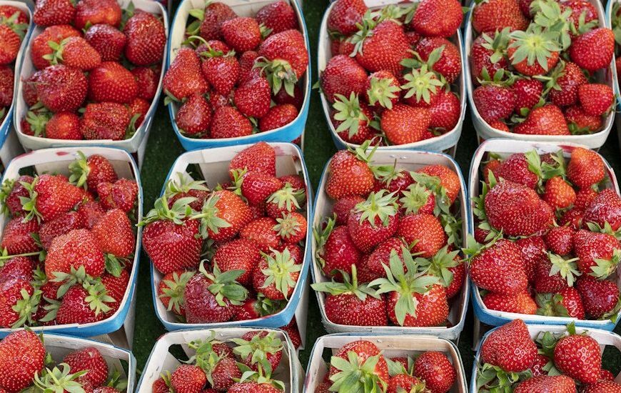 North American Consortium Offers Guide to Sustainable Fresh Produce Packaging