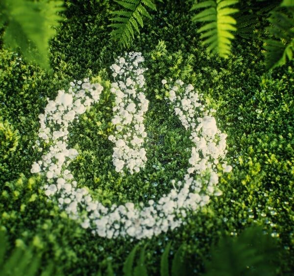 EU greenwashing law faces uncertain future