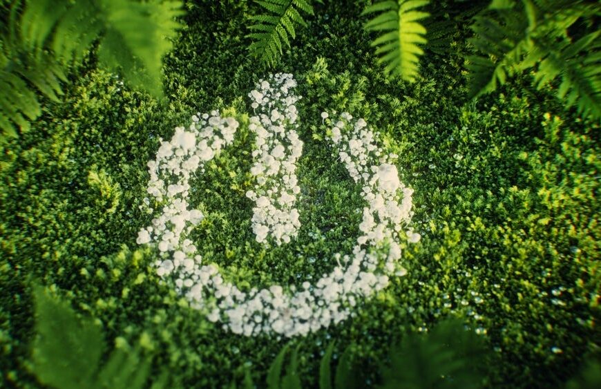 EU greenwashing law faces uncertain future