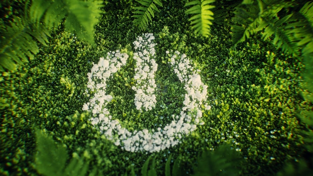 EU greenwashing law faces uncertain future