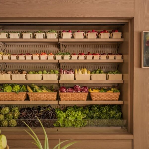 Meadow Lane and the Age of Performative Grocery Shopping