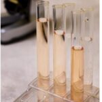 Renaissance BioScience and Biome Bioplastics Partner to Develop Next-Gen Bioplastics