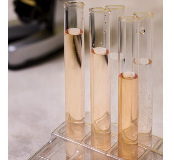 Renaissance BioScience and Biome Bioplastics Partner to Develop Next-Gen Bioplastics