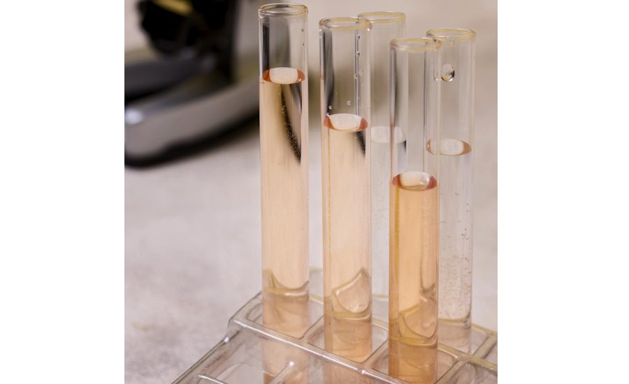 Renaissance BioScience and Biome Bioplastics Partner to Develop Next-Gen Bioplastics