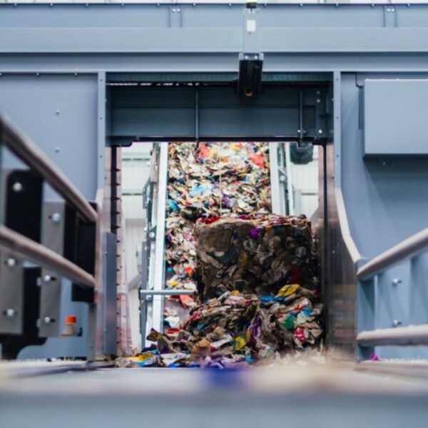 Amcor joins Danish recycling initiative for food packaging 