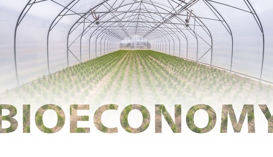 How the EU’s bioeconomy plan will transform packaging