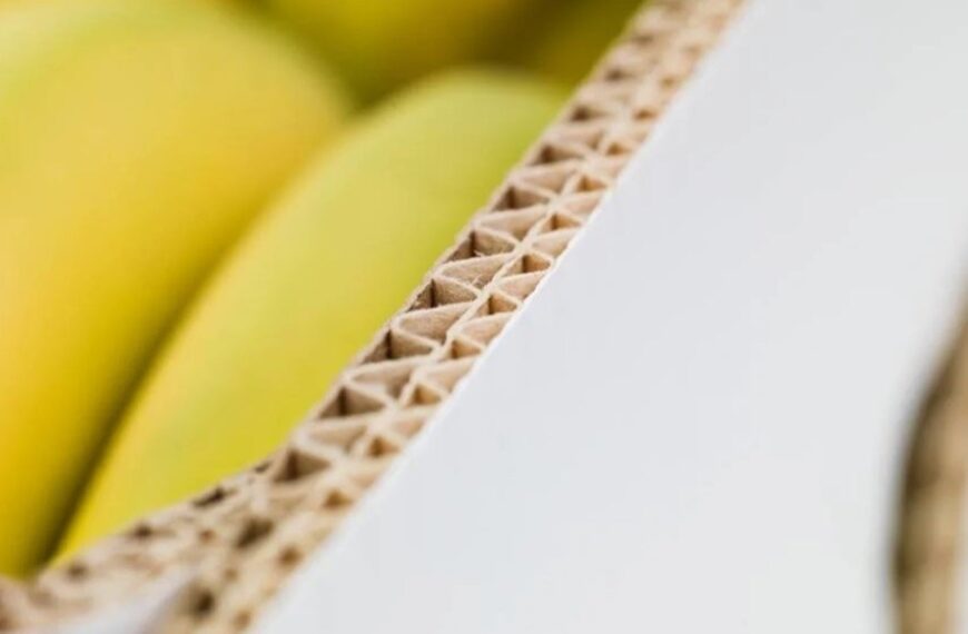 Billerud to upgrade Gruvön mill to boost Billerud Flute performance  